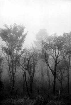 Black Misanthropy : Força, Odio e Honra Black Misanthropy : Força, Odio e Honra